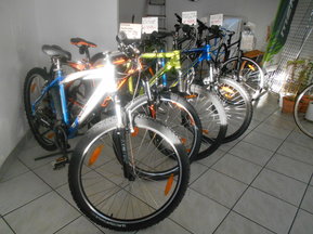 Fahrräder bei Erlenwein